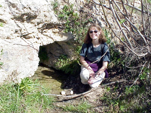 Small Spring