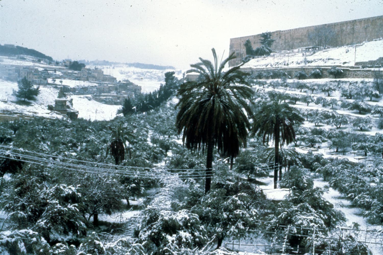 Kidron Valley Snow