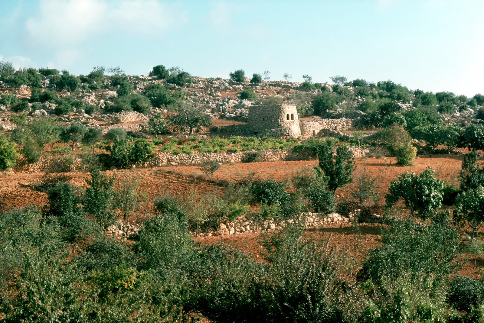 Hill Top Farm