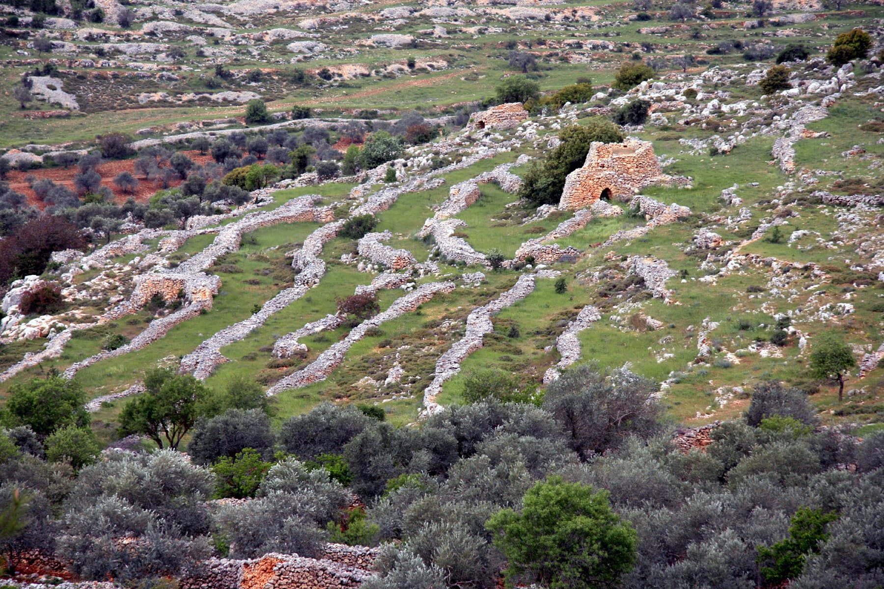 Watchtowers in Ephraim