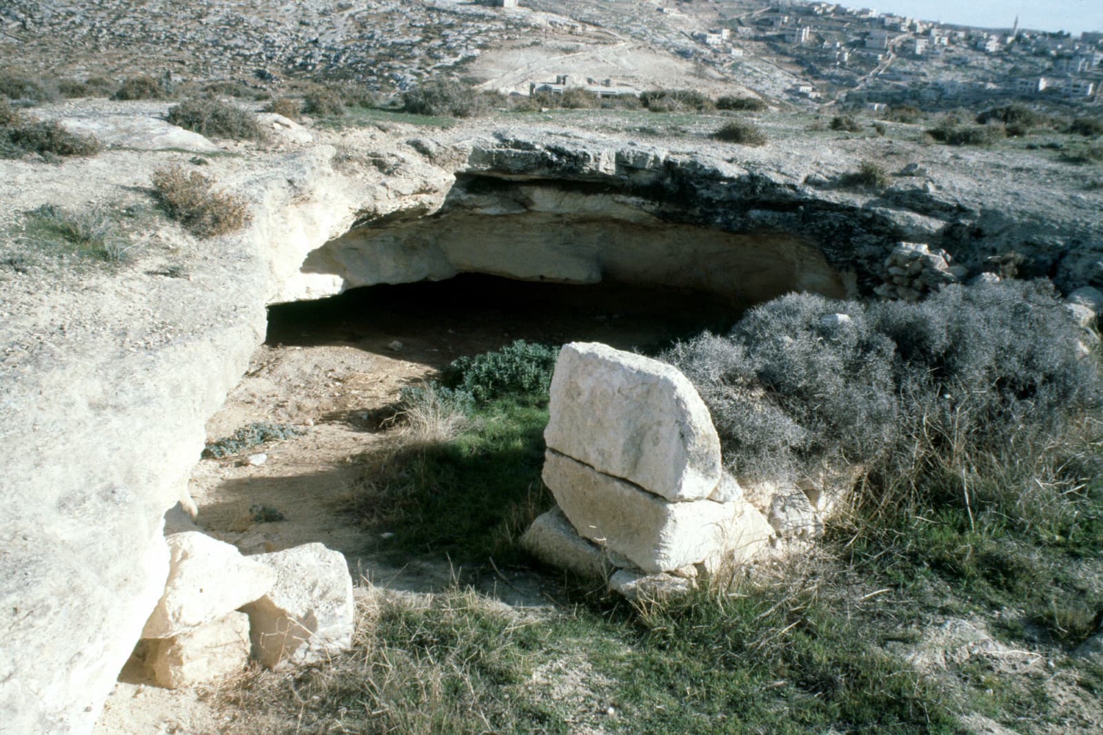 Sheepfold 1