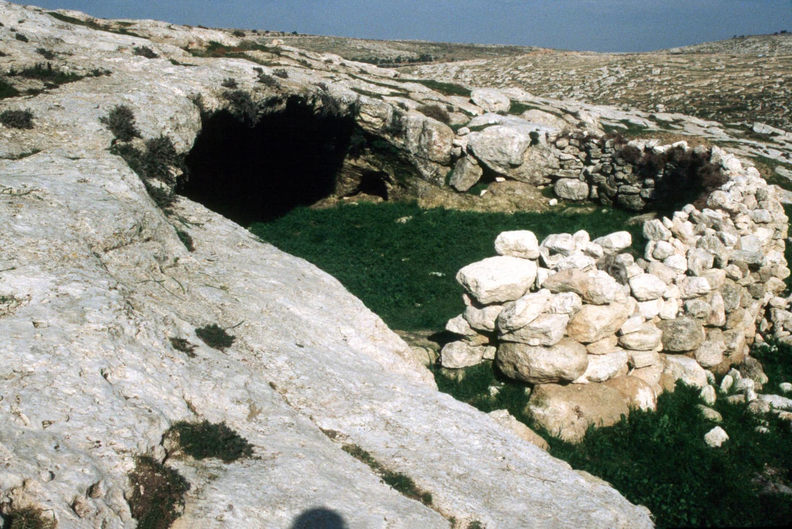 Sheepfold 3