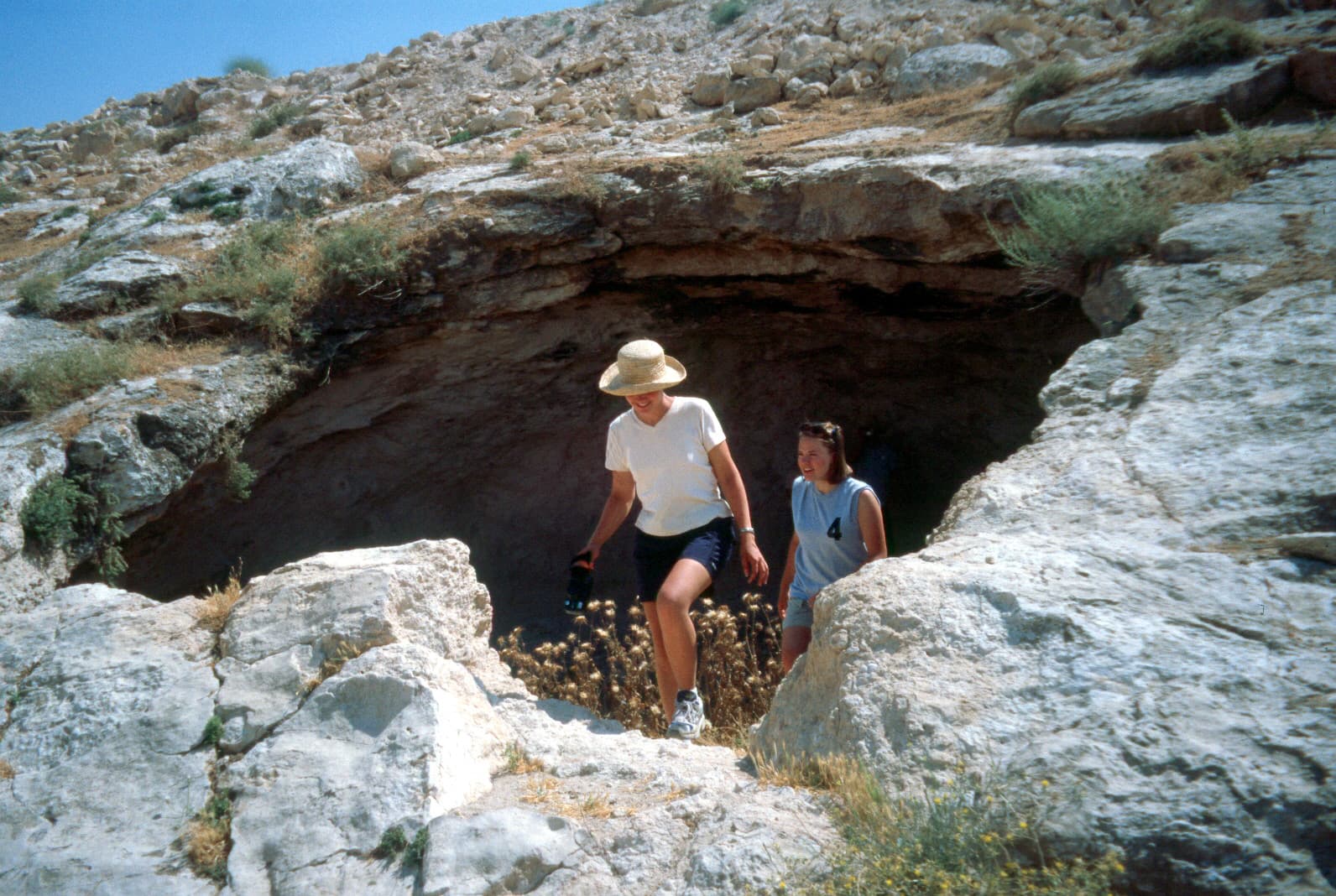 Sheepfold 4