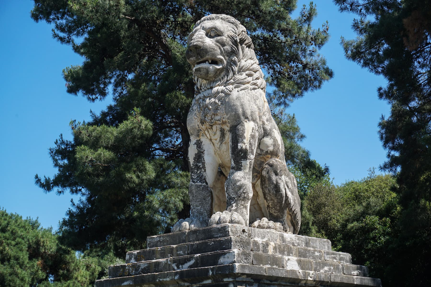 Lion Monument Detail