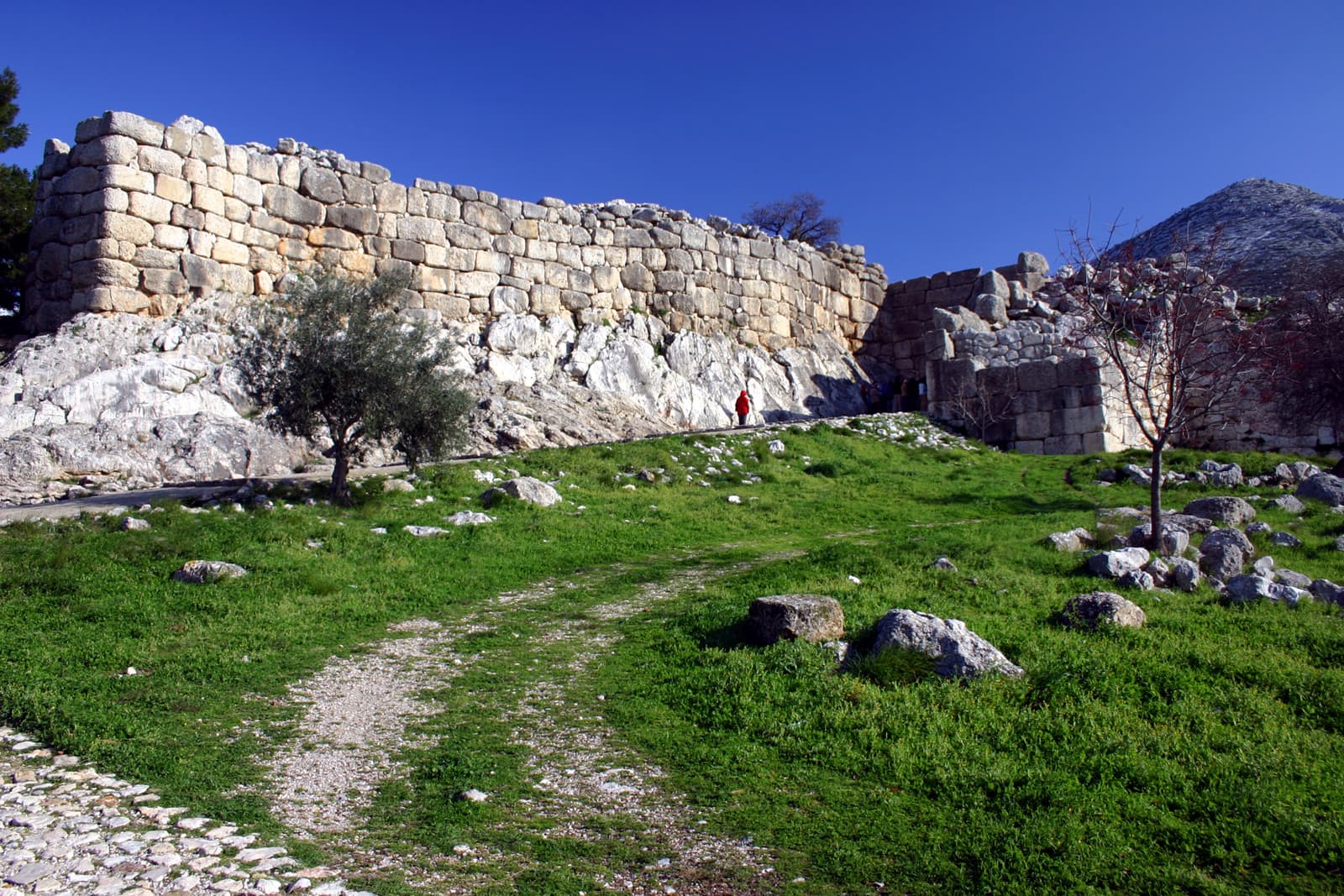 Entrance Road