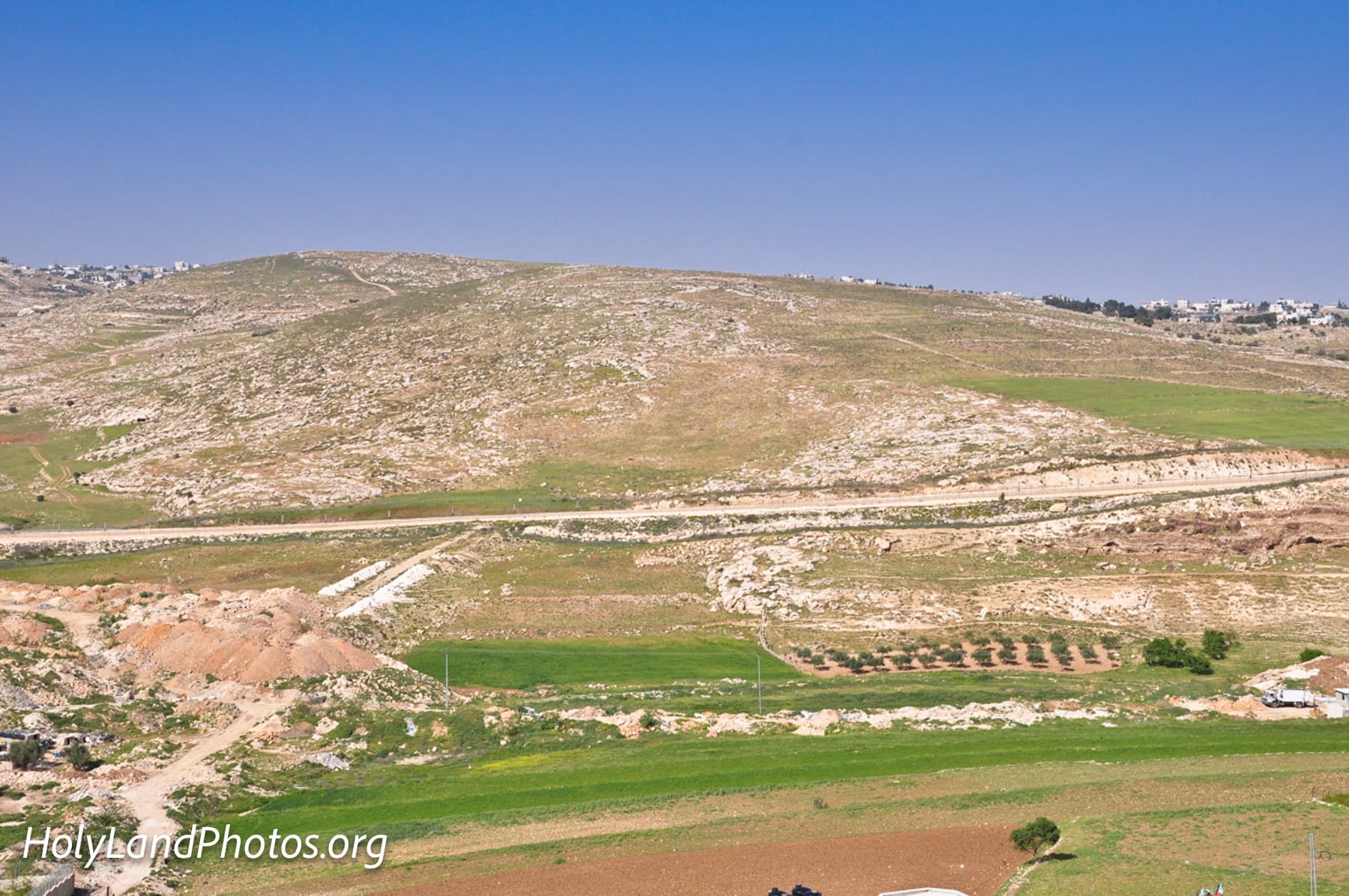 Fields Near Bethlehem 1