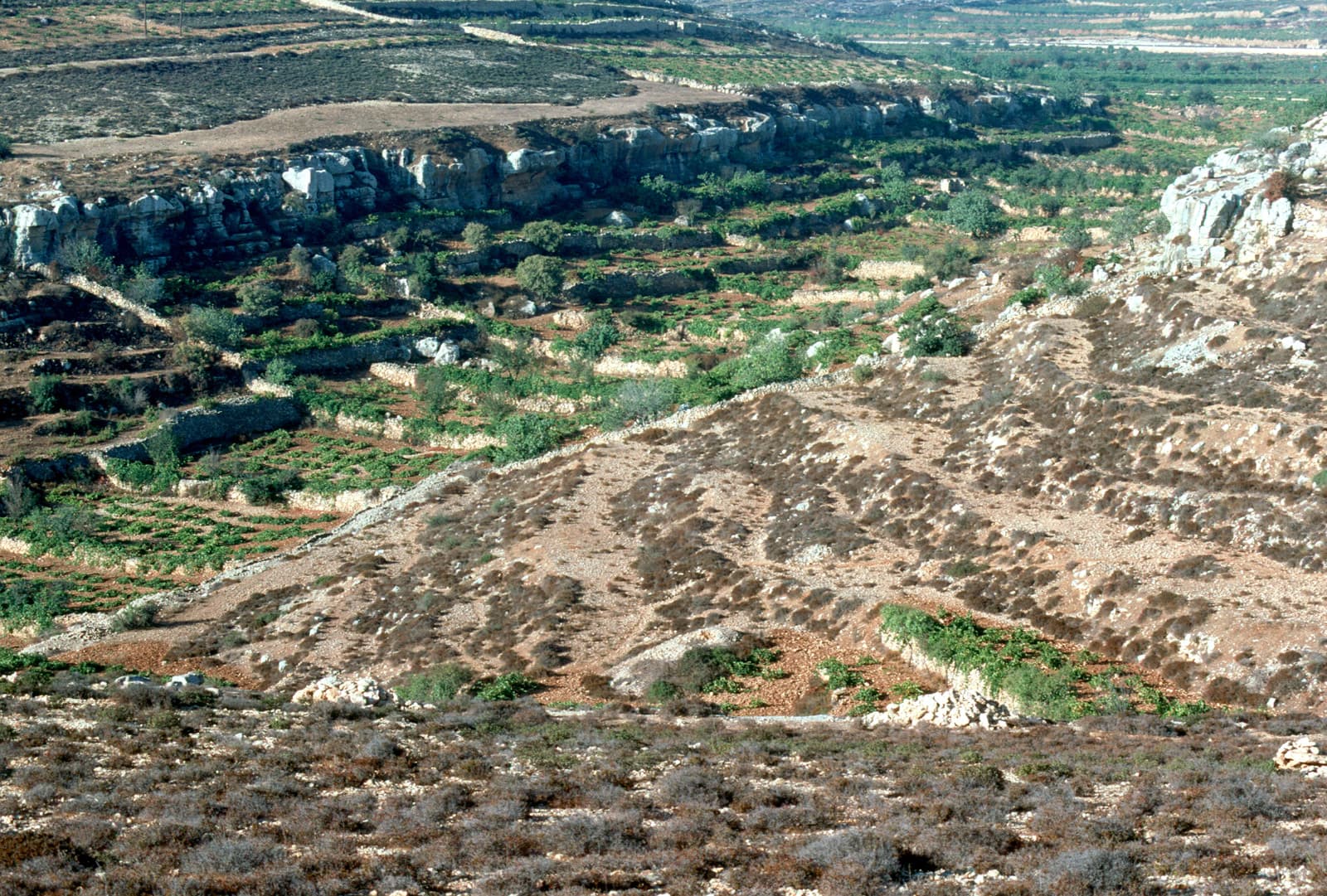 Valley Bottom
