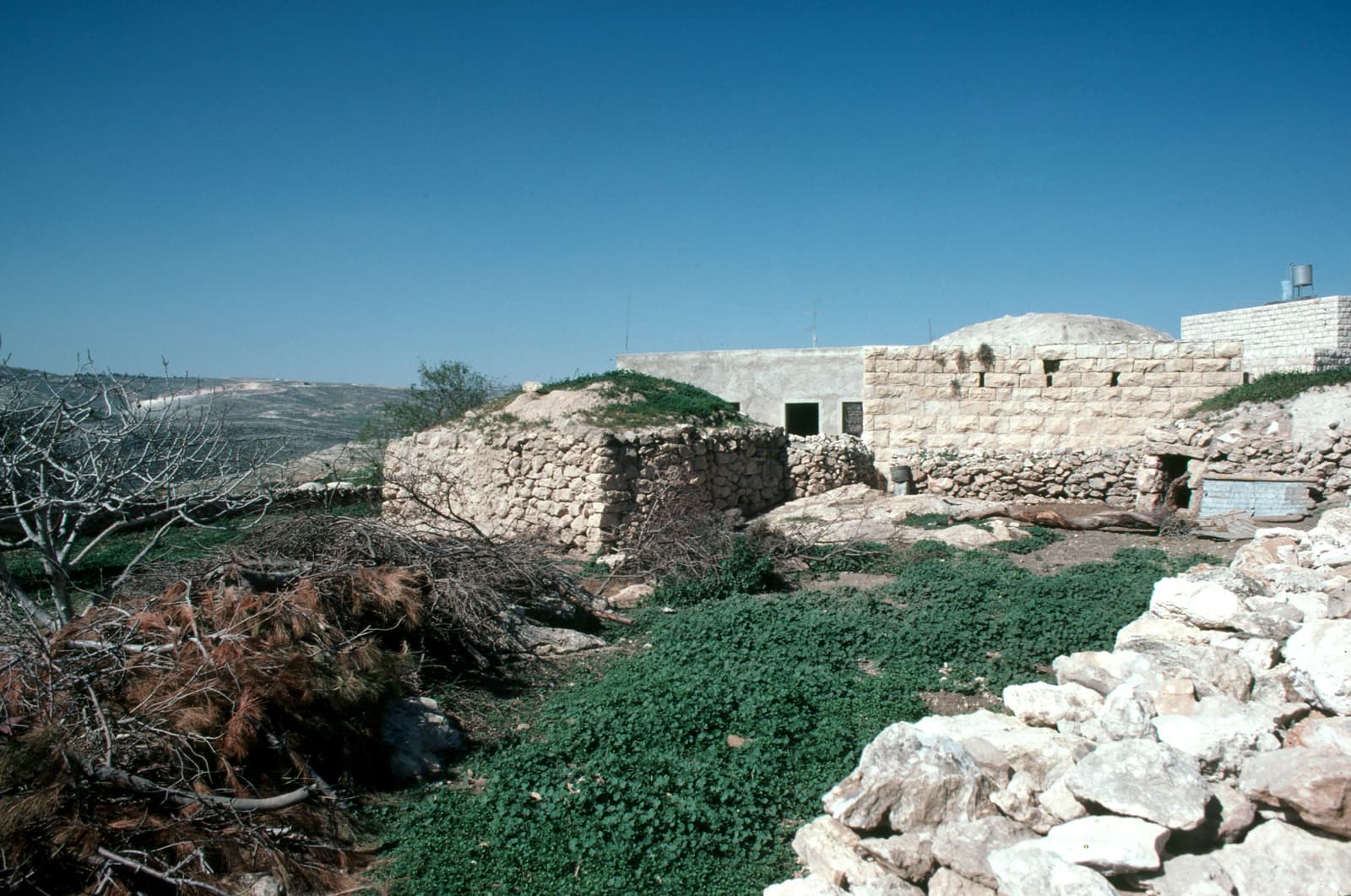 Traditional Houses (1)