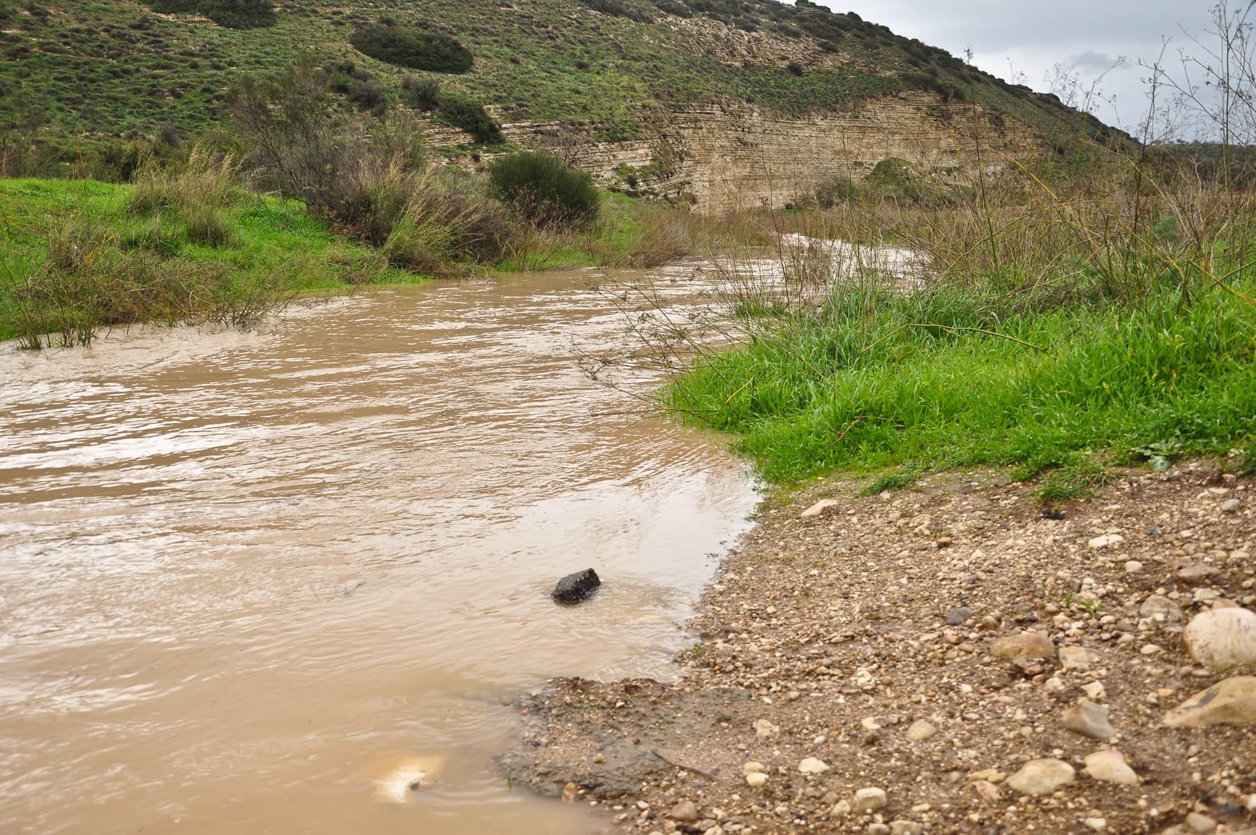 Flood Waters 1