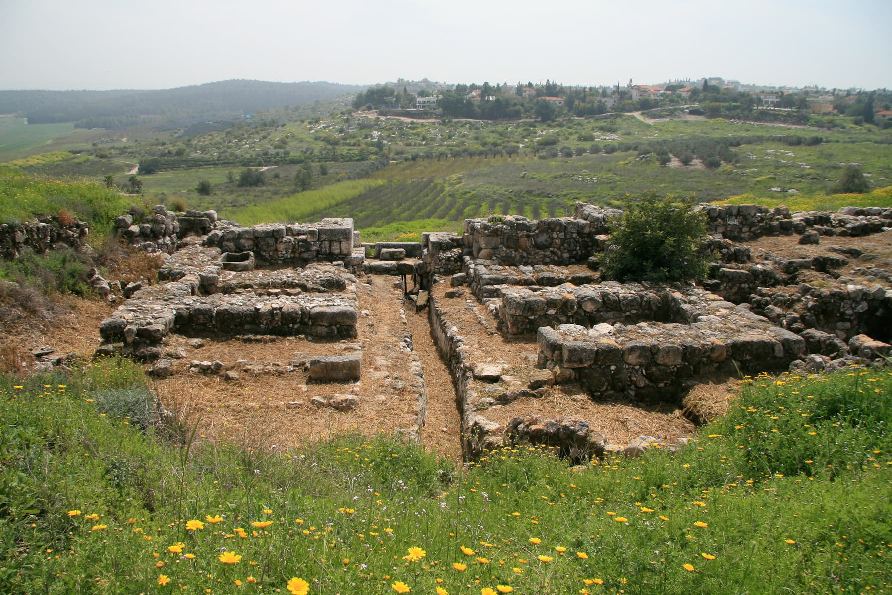 Solomonic Gate 1