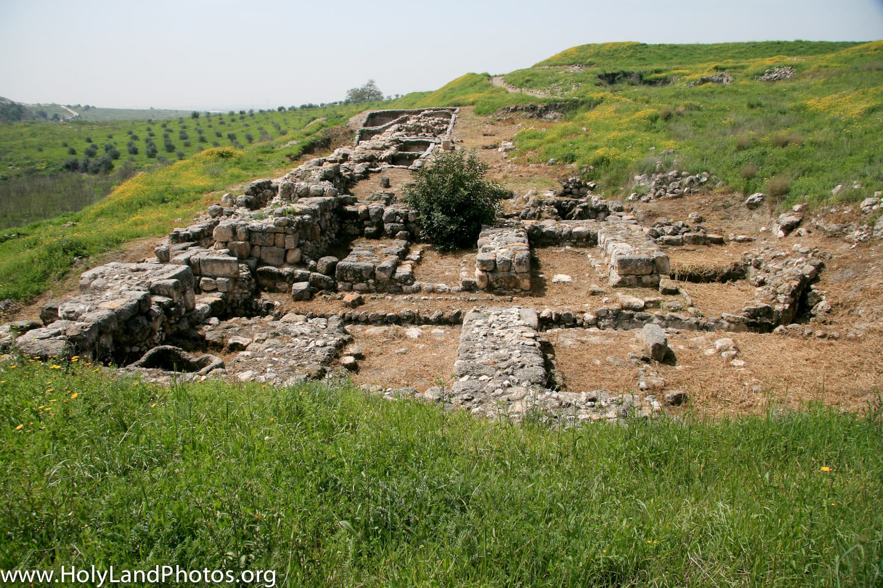 Solomonic Gate 4