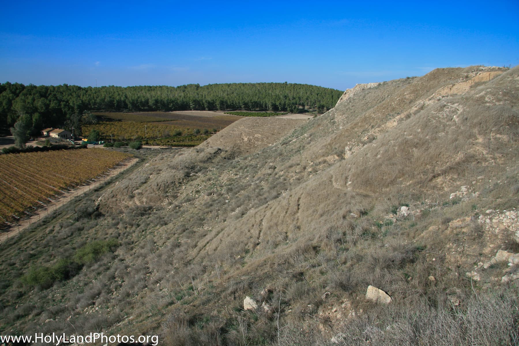 Western Rampart