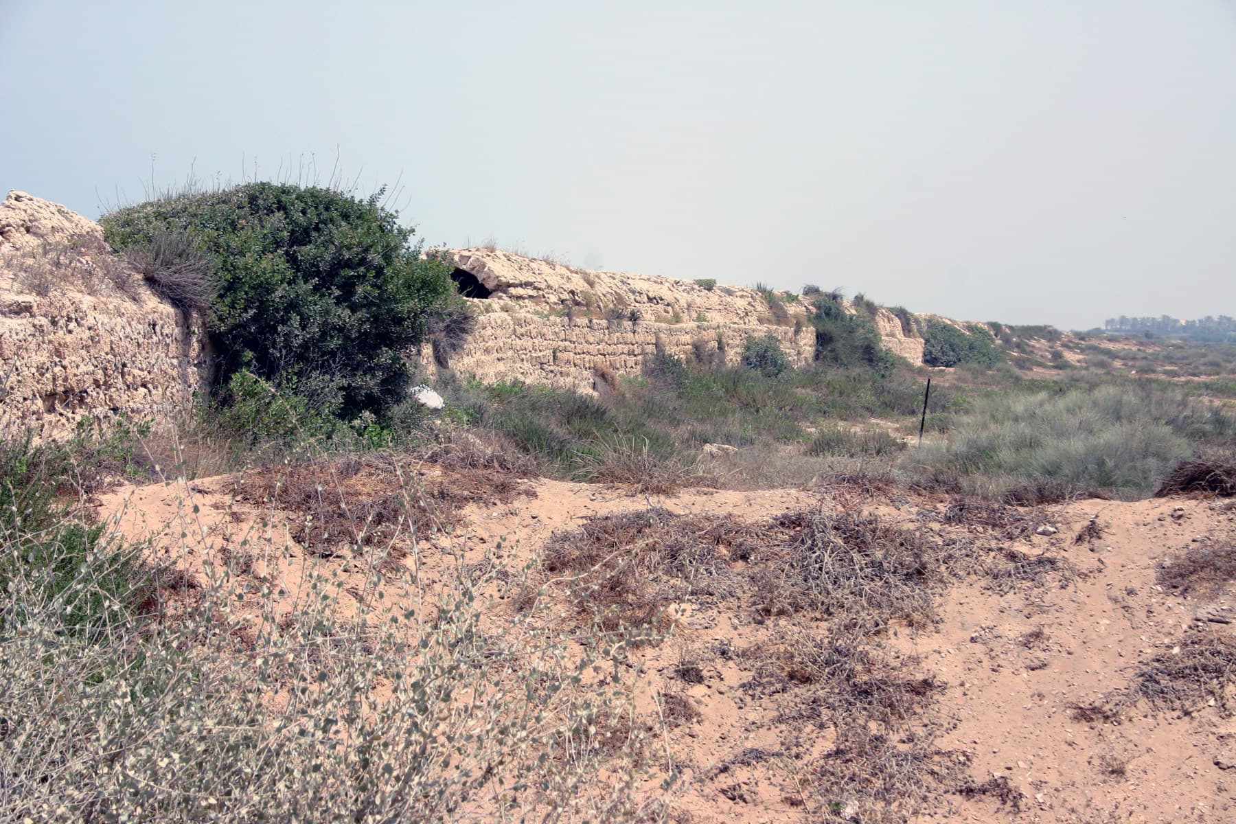 Eastern Side