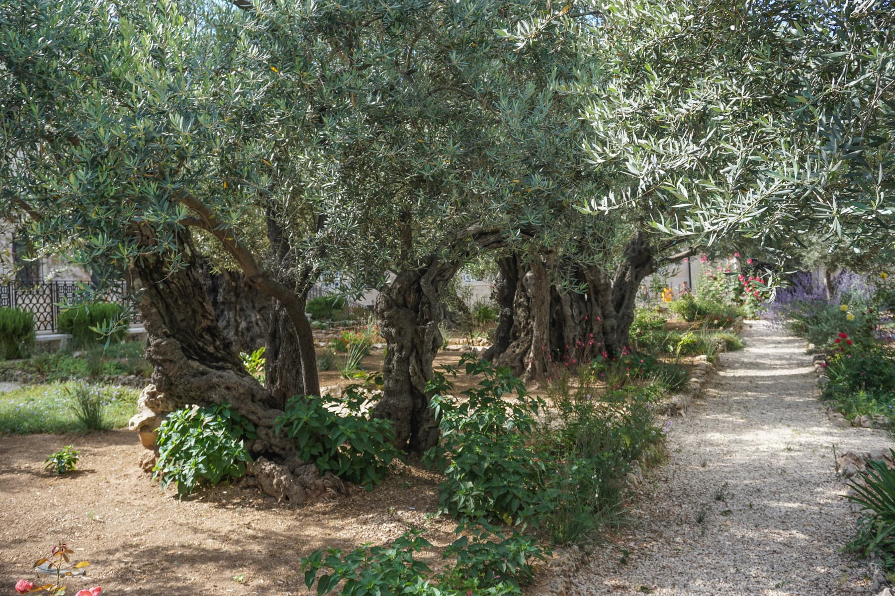 Gethsemane — traditional site.