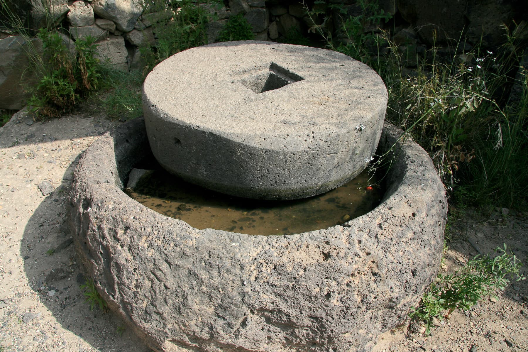 Olive Crusher