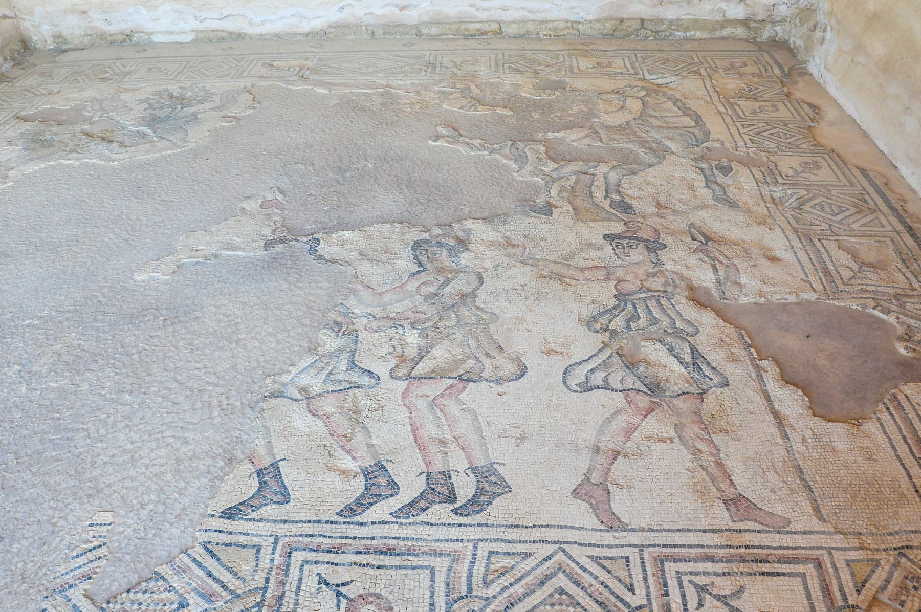 Dancing Amazons