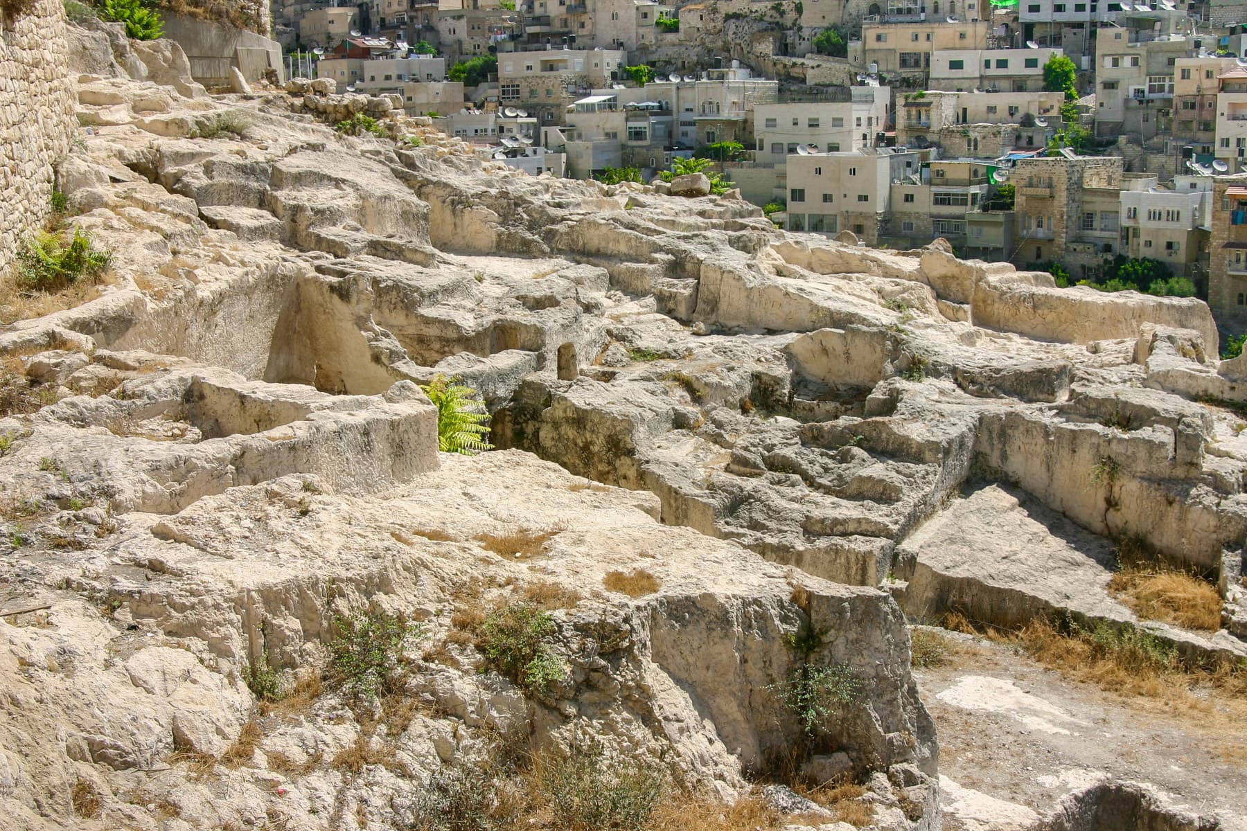 Weill's Excavations 2