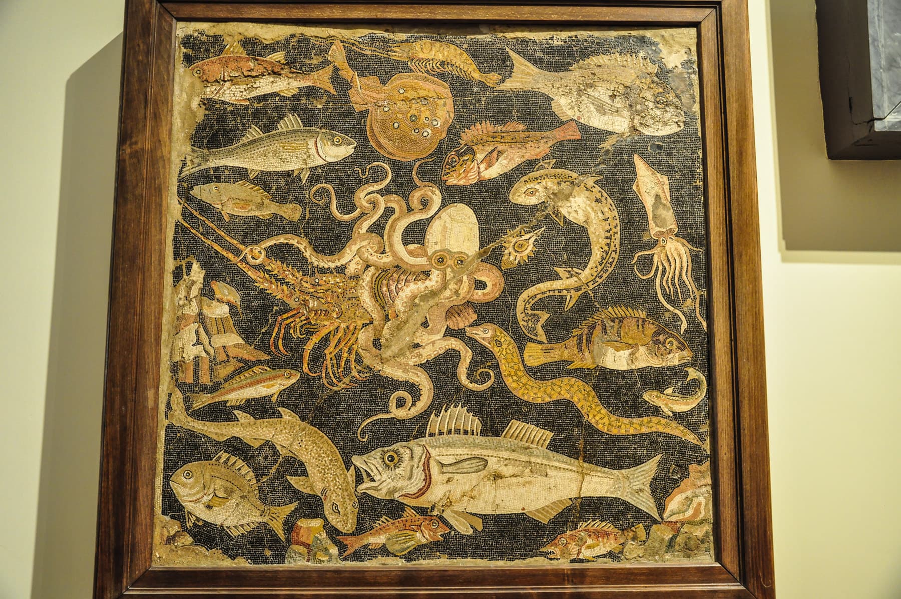 Marine Life 1 Mosaic