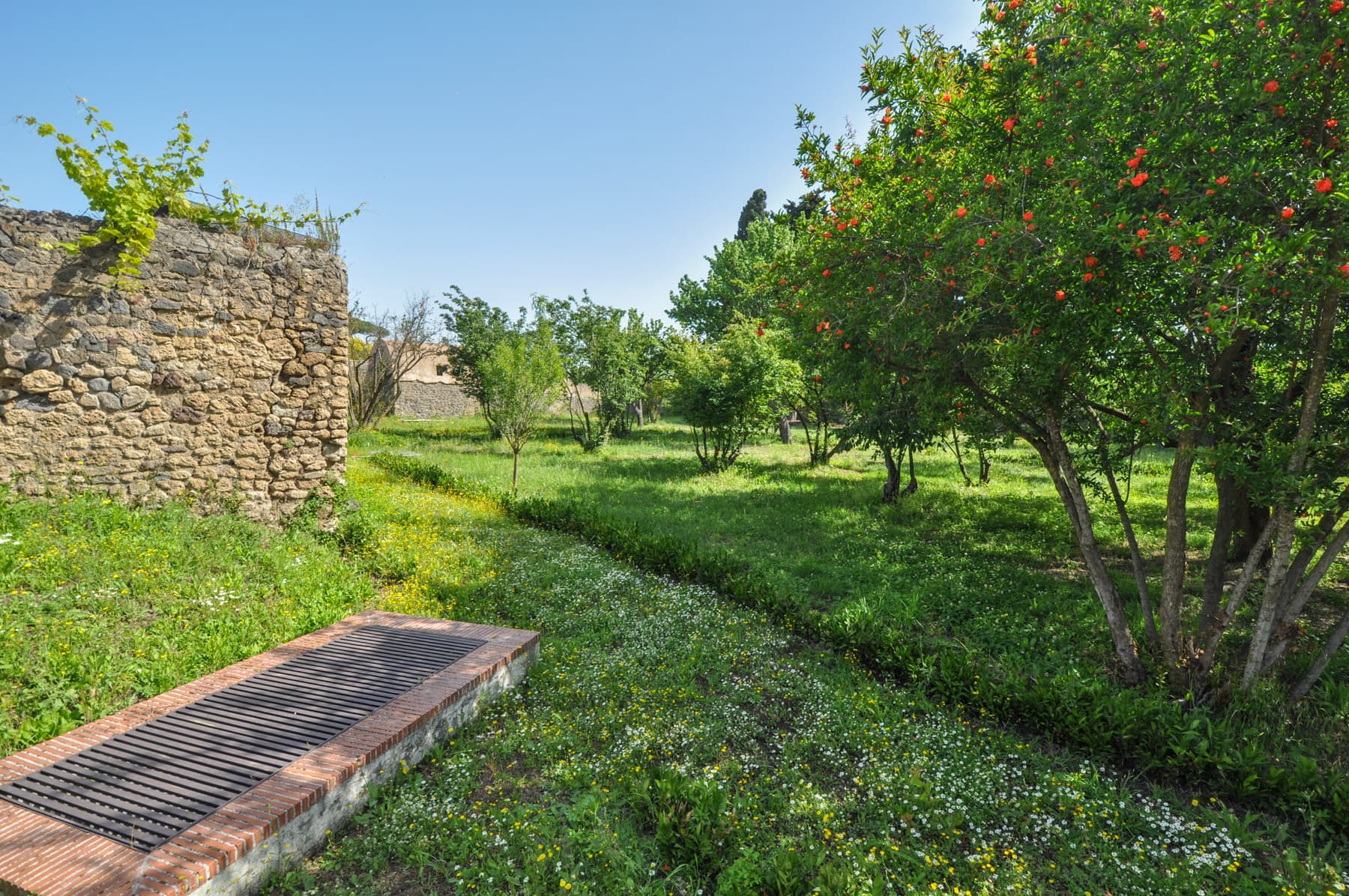 Working Garden