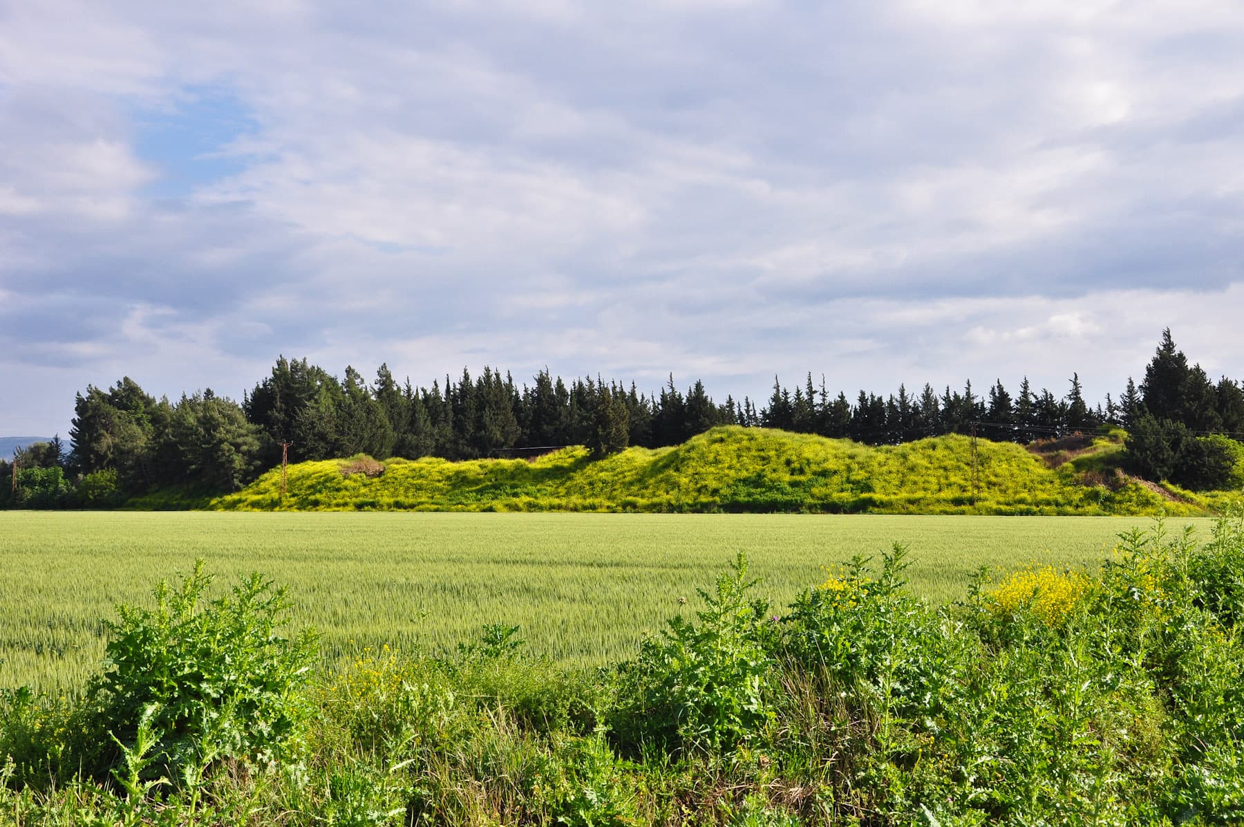 The Mound