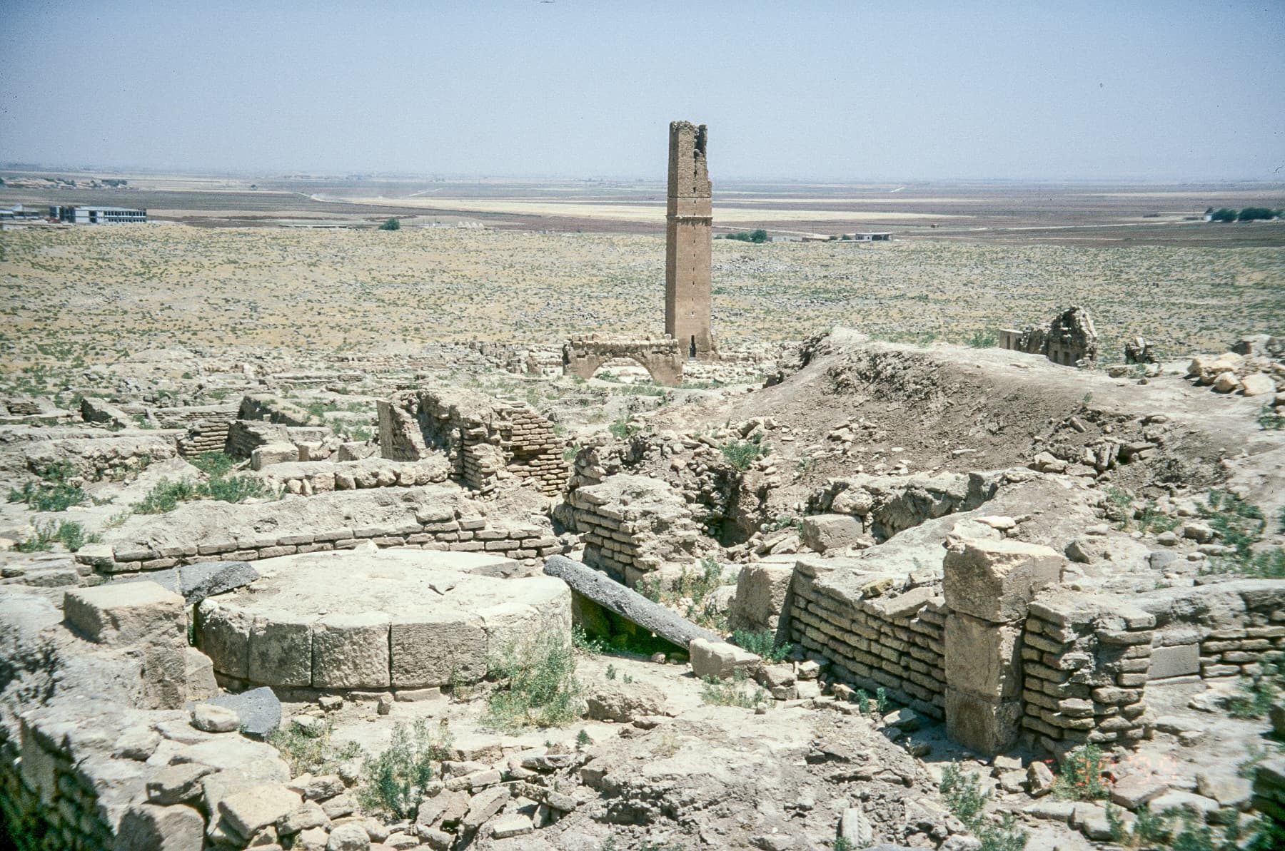 Site and Vicinity