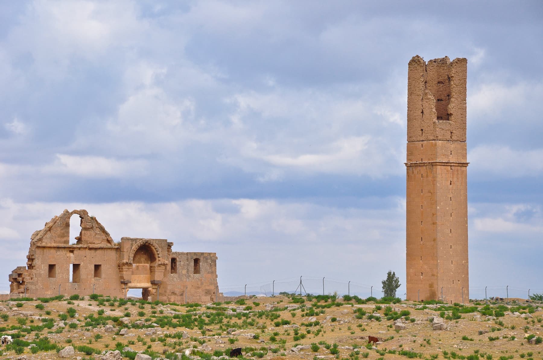 Grand Mosque 3