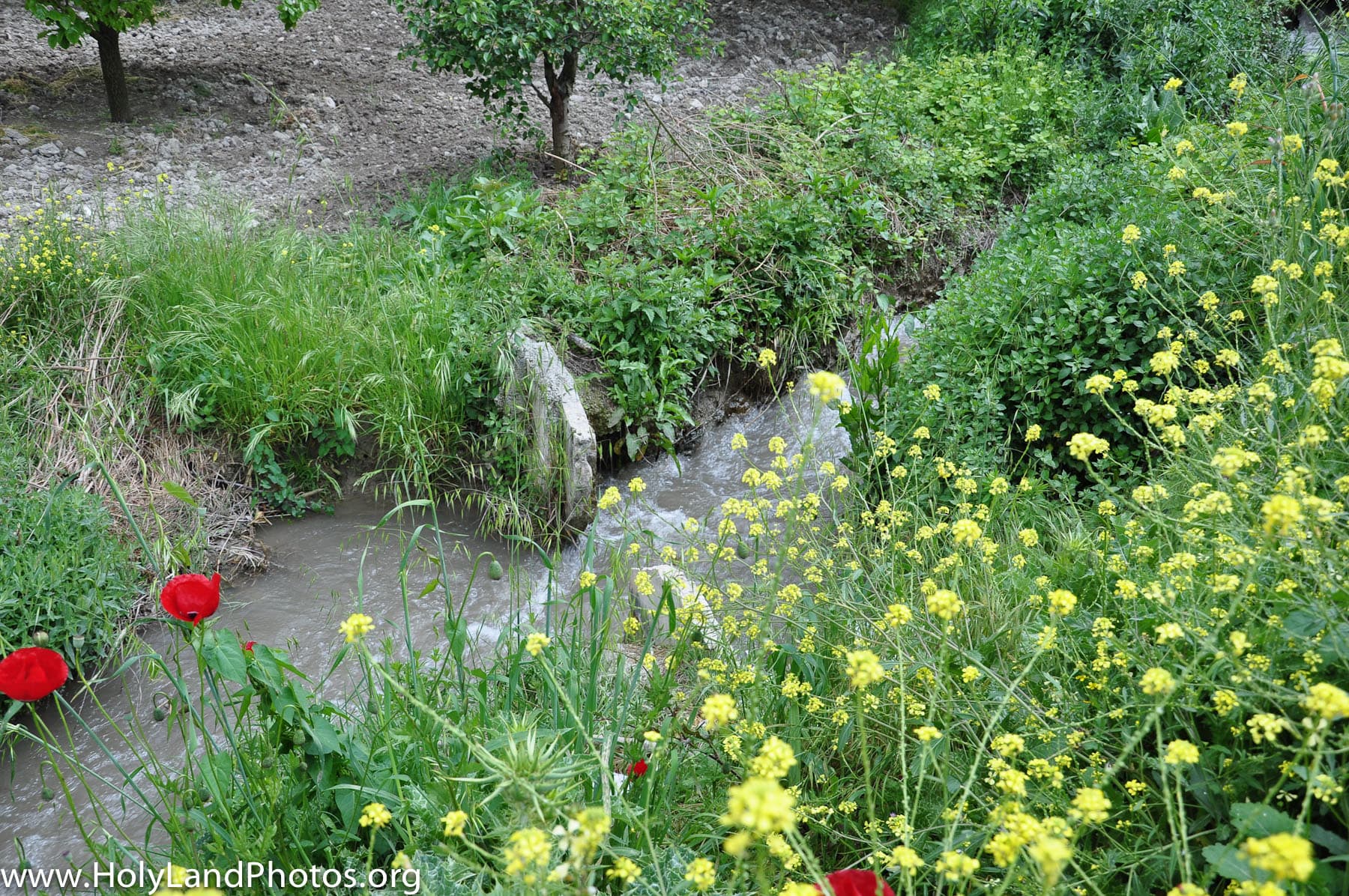 Stream 2