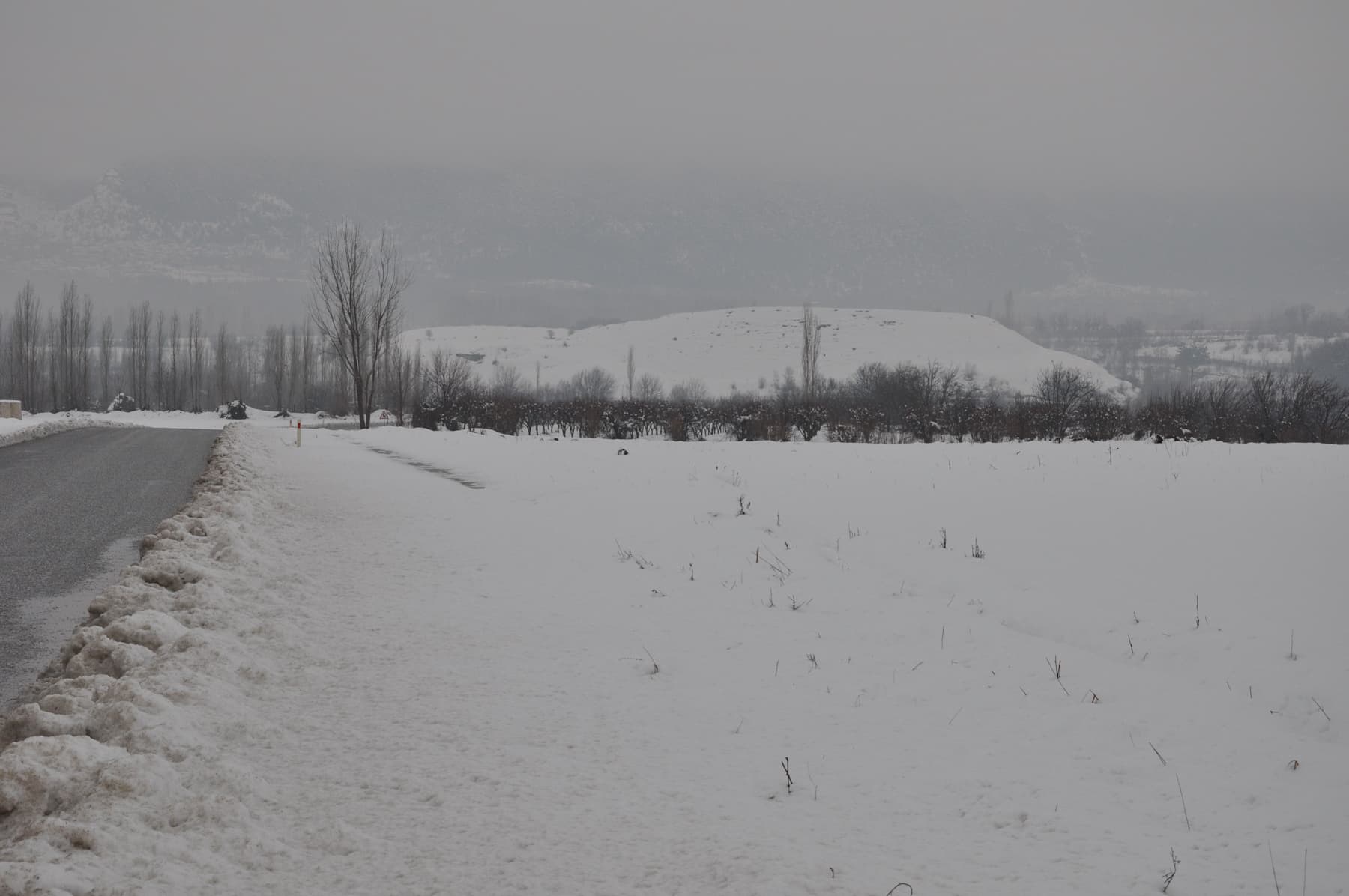 In The Snow