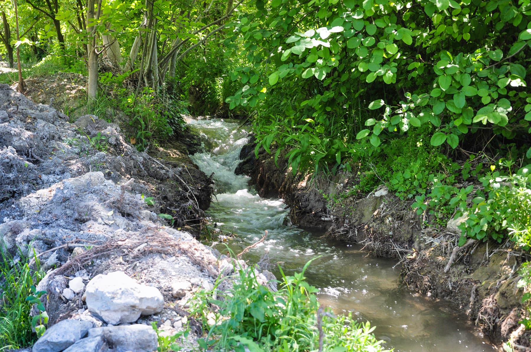Stream 1