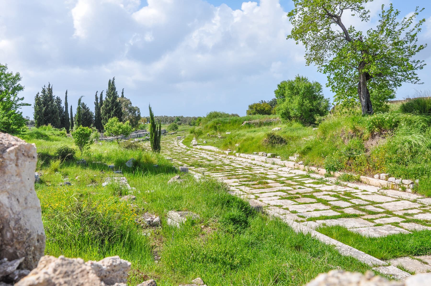 Sacred Way 1
