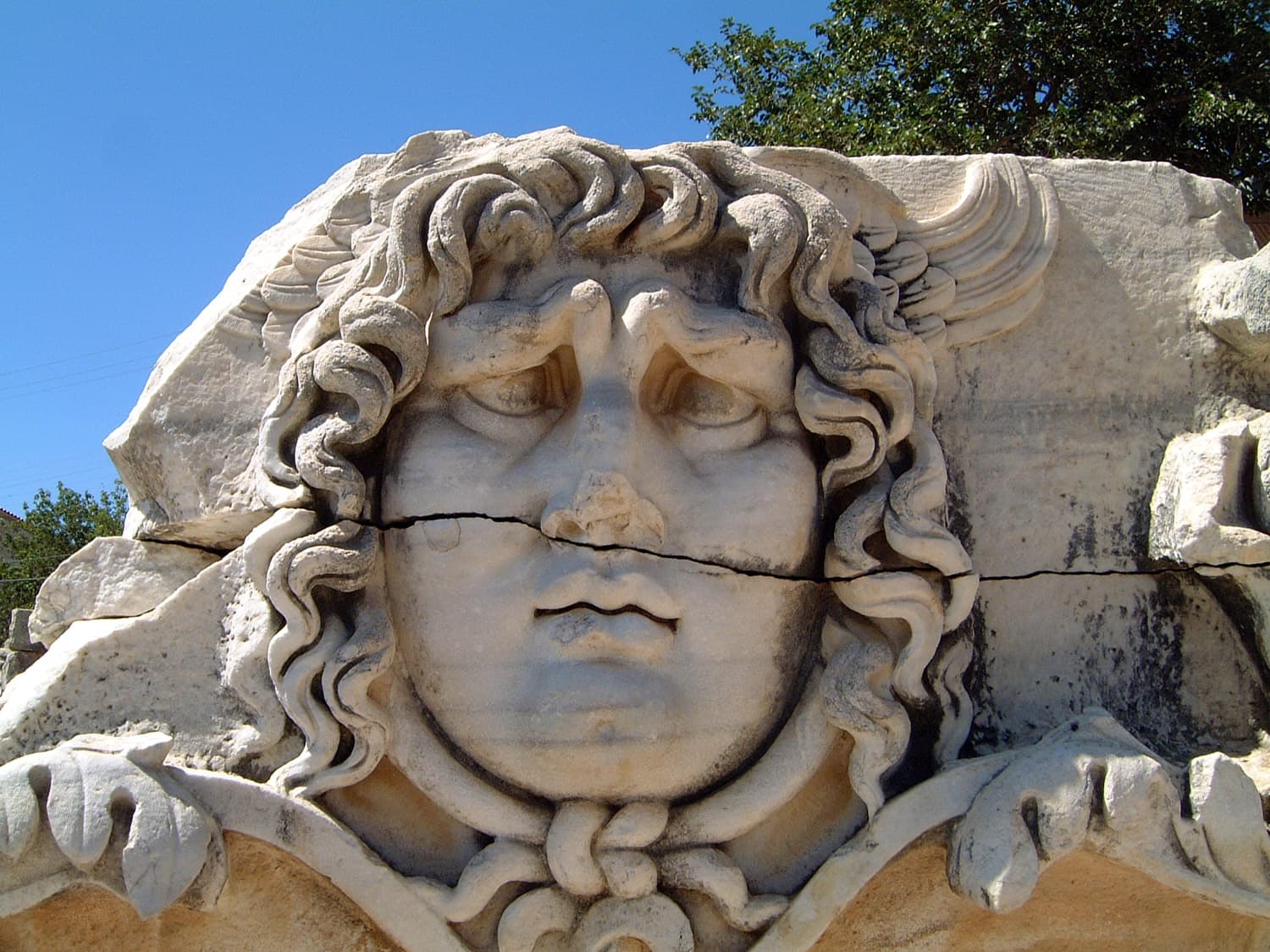 Head of Medusa