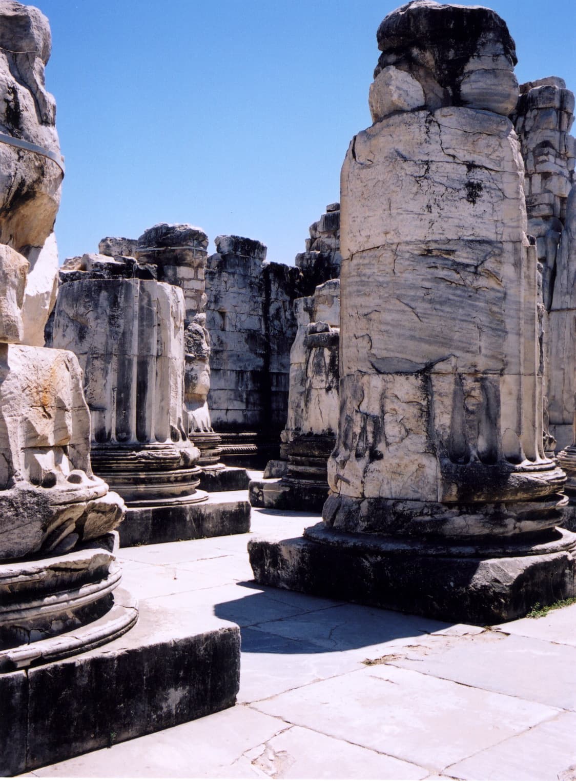 Forest of Columns 2
