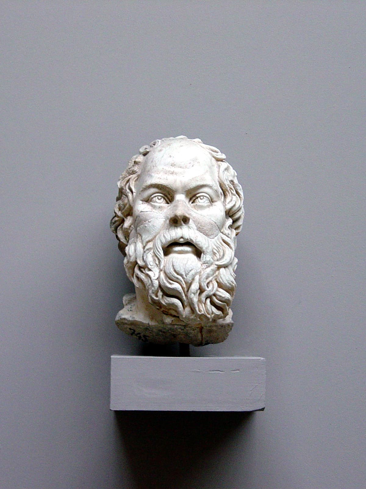 Socrates