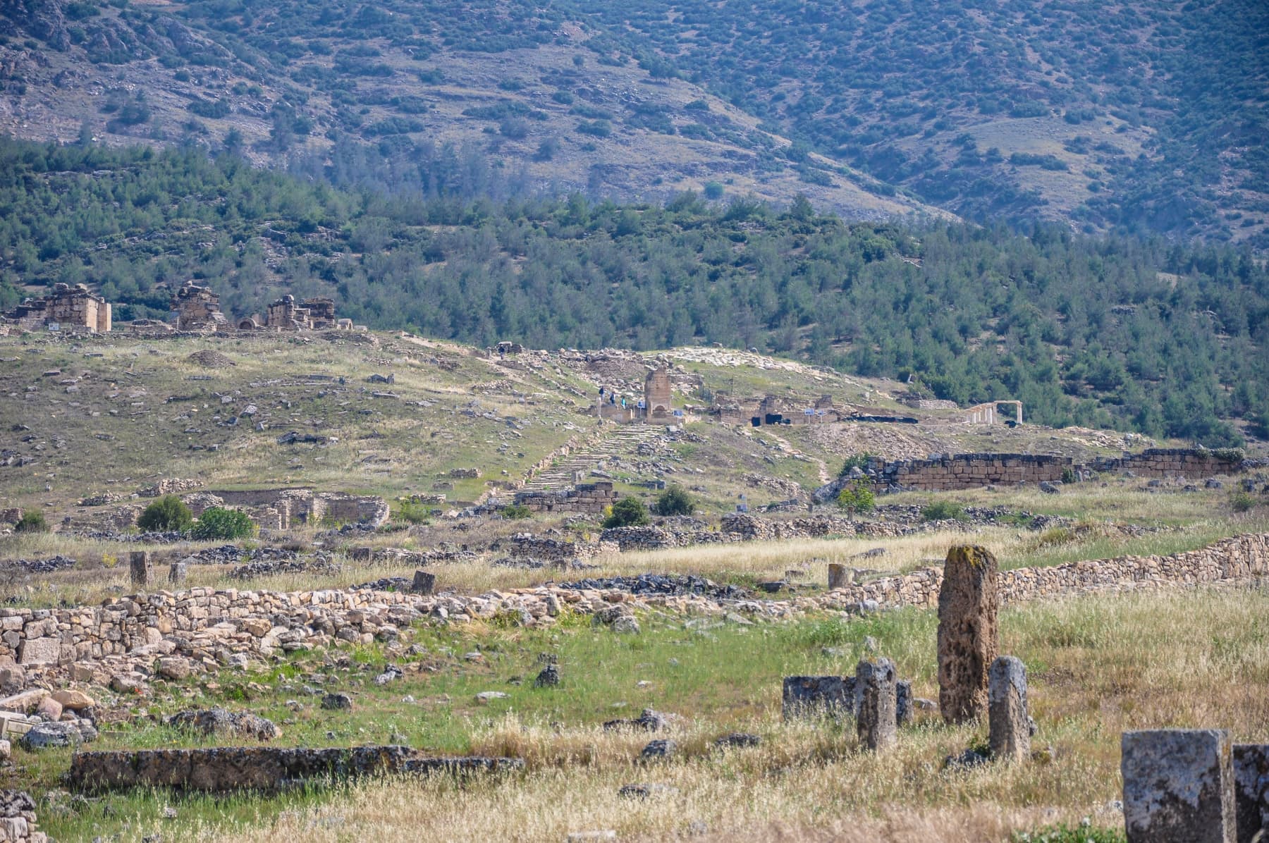 Pilgrims Path 1
