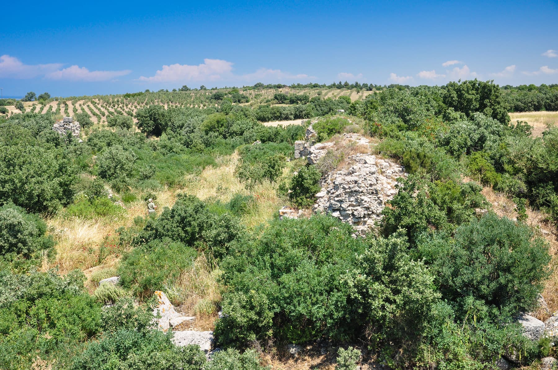 Aqueduct 1