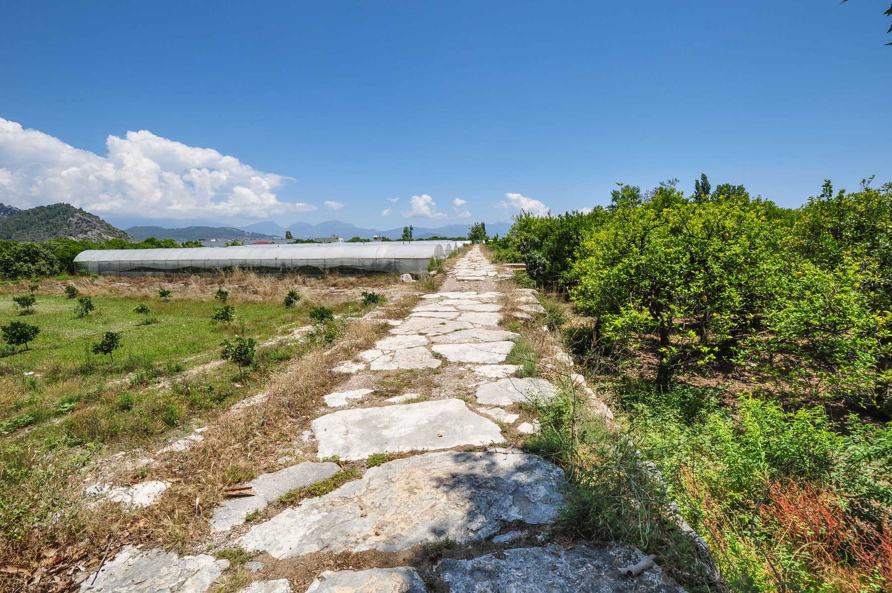 Paved Road