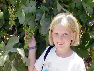 Map or image for Vines and Vineyards