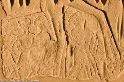 Map or image for Settlement in Canaan 113-130